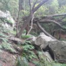 장수천 약수터 입구 이미지