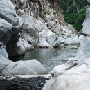 왕피천관광농원 이미지