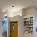 맥스동물병원 | 맥스 8살맞이 건강검진 기록용 - 올해도 아인동물의료센터에서! 대형견 전문 병원