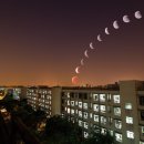 애니카랜드개운점 이미지