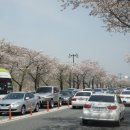 알천남로 이미지