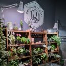 플렉스 PC cafe 이미지