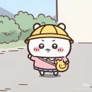 53 | CU덕후 합격 53기 선발 후기 대외활동 꿀팁