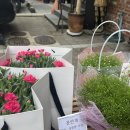 플로리안 | 🌿 청라 감성 꽃집 &amp; 카페 [플로리안] 방문 후기