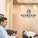 속초동물의료센터 네이버블로그