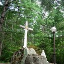 겟세마니 동산 이미지