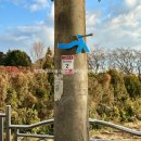 호근동마을회관 | 제주 무료 동백 스팟 3 곳 동백꽃 실시간 개화상태 겨울 동쪽 여행코스