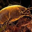 영일자동차공업사 이미지