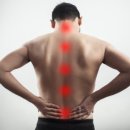 몸튼튼 근력 스트레칭 이미지