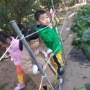 풀잎농장 이미지