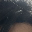 스킨모발팡팡