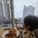 인천지방합동청사 후문2 | 도화동 카페 추천｜멜버른베이커리카페 호텔식 대형 베이커리 카페 다녀온 후기