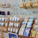 푸른푸릇 이미지