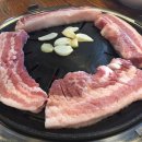 하누 도야지