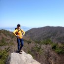 꽃밭을 거닐었던 완도 약산도 삼문산