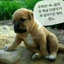 복 - 동구 부산진성공원로 24 | 복