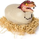 공룡알