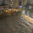 분당-366 이미지