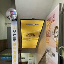 보드막미아