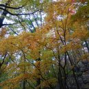 백무동주차장 이미지