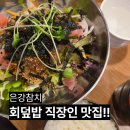 은강 | 이매역 직장인 회덮밥 맛집 은강참치 후기