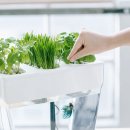 라곰(LAGOM) 이미지