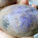 추풍령옛고개 이미지