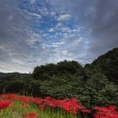 옥룡사지 이미지