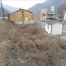 월악보건진료소 | [제천시 덕산면 토지(답)경매,급매,전세] 충청북도 제천시 덕산면 월악리 545-3. 2017타경192 [더에이스]