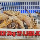 수산얼음