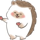 우도일식 이미지