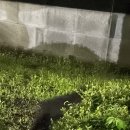 이삭토스트 양주옥정점 이미지