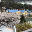 중평단지(임동면) 이미지