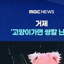 들고뛰어