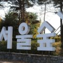 서울숲6 이미지