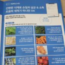 탑소닉