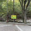 (사)산림문화휴양협회 | 대전 인근 계곡 금산산림문화타운 평상 남이자연휴양림 취사 가능