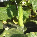 오대산별장 이미지