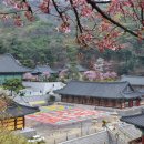 형형색(주) 이미지