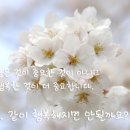 행복한 꿈을 꾸는  이미지