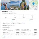 일구구사 이미지