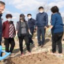 친환경나눔텃밭 이미지