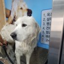 마이리틀프렌드 강남점 이미지
