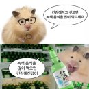 까마실 네이버블로그