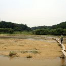 영주수도리김덕진가옥 이미지