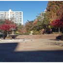 영등근린공원 이미지