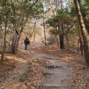 맹종죽순체험길 | 석름봉과 맹족죽순 체험길 [남파랑길 17코스]