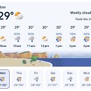 자담치킨월곡우산점 | [호주 워홀 in 다윈] 사장님 도박은 재미로 하셔야 합니다