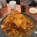 큐리애견 | 일상