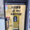 맛있개 먹었냥 이미지